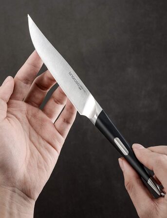 Ніж Santoku Кухонний ніж Гострий ніж для м'яса, професійно викуваний з імпортної високовуглецевої нержавіючої сталі з красивим магнітним тримачем для ножів - Meteorite (ніж для стейка з 4 частин), 7