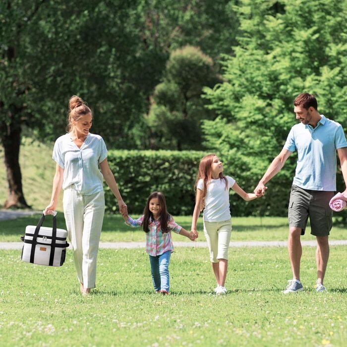 Термосумка 20 л шовково-сіра Lifewit