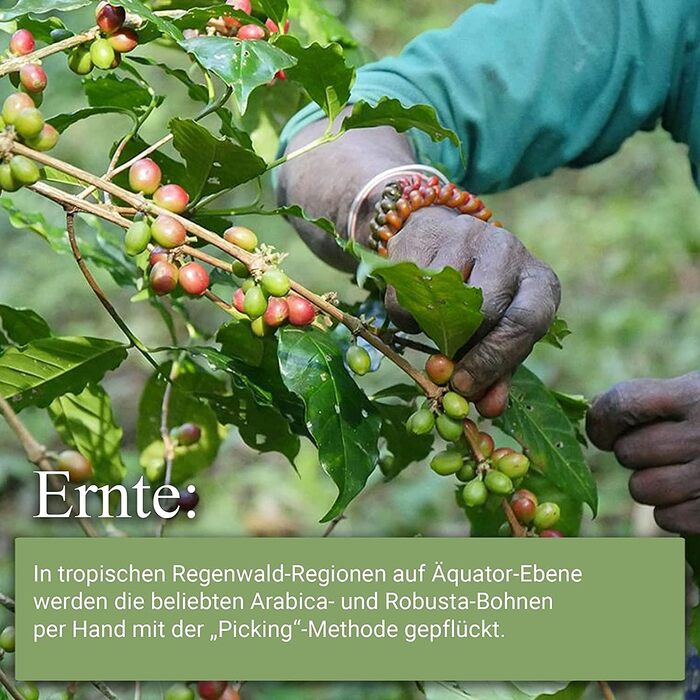 Кофемашина капсульная белая Sensual Martello и набор из 200 кофейных капсул Martello