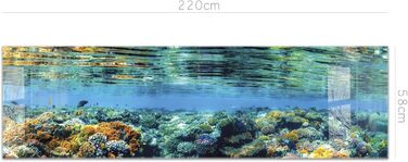 Кухонний фартух timalo зі скляним виглядом Північне море, очерет, захід сонця, океан, солома 2-мм акрилове скло Бризкозахисна стінка для плити, скляний кухонний фартух, акрилові скляні стінові панелі, захисна панель для фартуха (220 x 58 см, 311- Coral Re