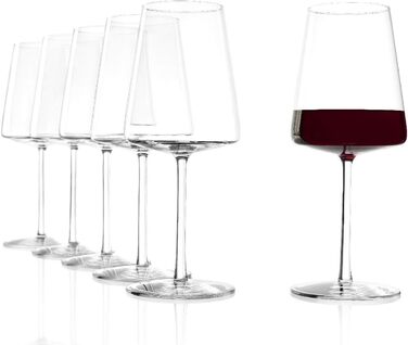Набір з 12 келихів для червоного та білого вина, Power Stölzle Lausitz