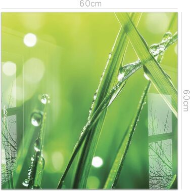 Кухонний фартух timalo зі скляним виглядом Північне море, очерет, захід сонця, океан, солома 2 мм акрилове скло Бризокості для плити, кухонний скляний фартух, акрилові скляні стінові панелі, захисна панель для фартуха (60 x 60 см, 315- Зелена трава)