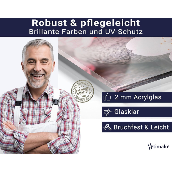 Кухонний фартух timalo зі скляним виглядом Північне море, очерет, захід сонця, океан, солома 2 мм акрилове скло Бризок настінний для плити, кухонний скляний фартух, акрилова скляна настінна панель, панель для фартуха (220 x 58 см, 314- Цвітіння вишні)