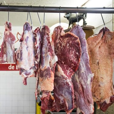 Набір з 20 м'ясних гачків для копчення 15 см Firschoie