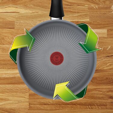 Tefal Saucepan Halo, 24 cm, with lid, aluminum, bakelite, glass, gray