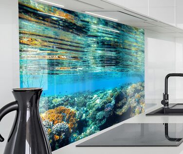 Кухонний фартух timalo зі скляним виглядом Північне море, очерет, захід сонця, океан, солома 2-мм акрилове скло Бризкозахисна стінка для плити, скляний кухонний фартух, акрилові скляні стінові панелі, захисна панель для фартуха (220 x 58 см, 311- Coral Re