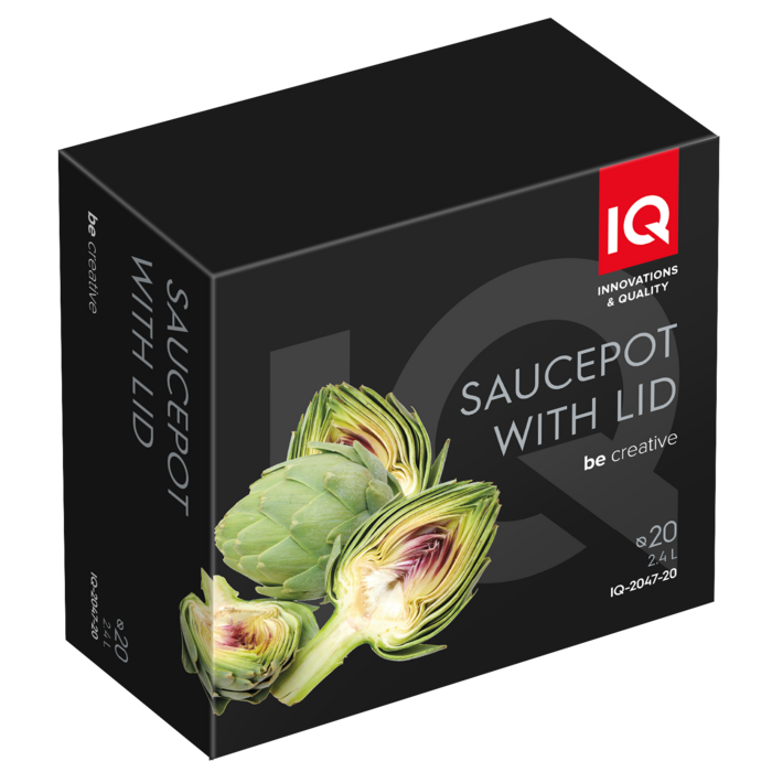 Каструля IQ Be Creative (2.4 л) 20 см (6996317)