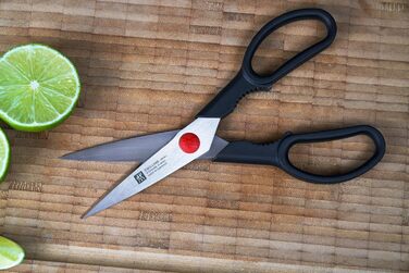 Набір з 5 ножів з ножицями та заточуючим блоком коричневий Gourmet Zwilling