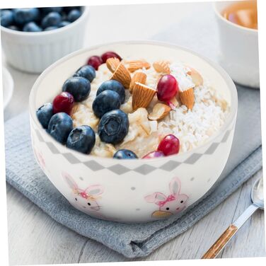 Керамічні миски з візерунком зайчика 2 шт ABOOFAN