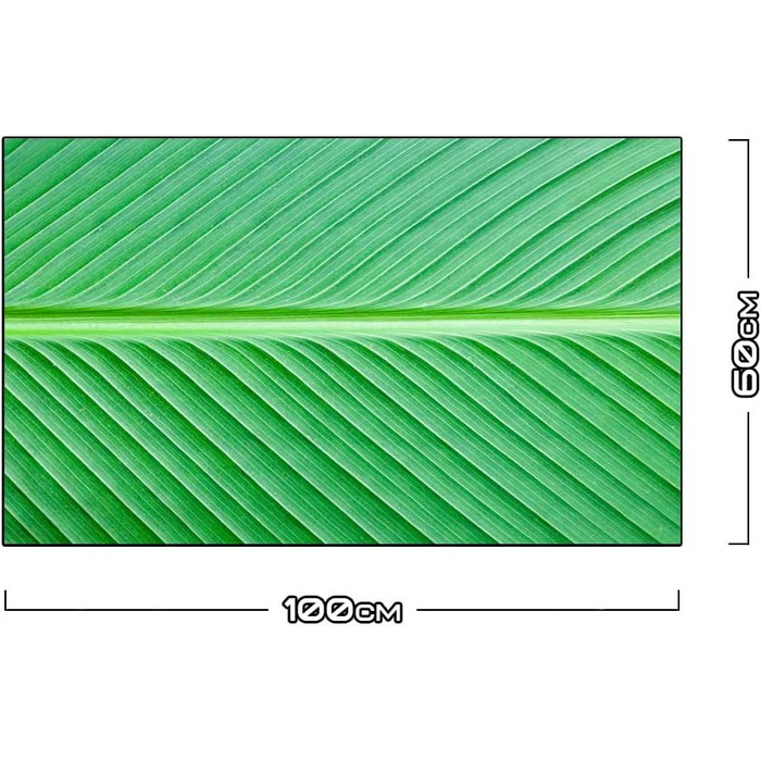 Дизайнерський кухонний бризкозахисний екран з алюмінієвого композиту, кухонний фартух, товщина 3 мм, 60x100 см, (колір пальмового листя)