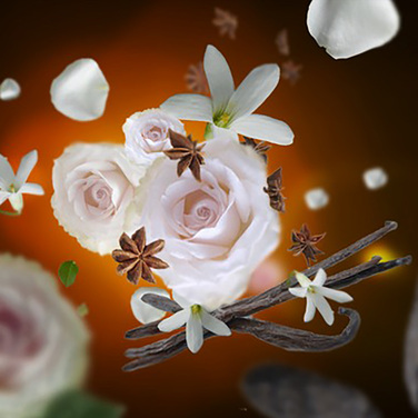 Дифузор Maison Berger Paris AROMA RELAX, 180 мл + Наповнювач з ароматом AROMA RELAX, 180 мл