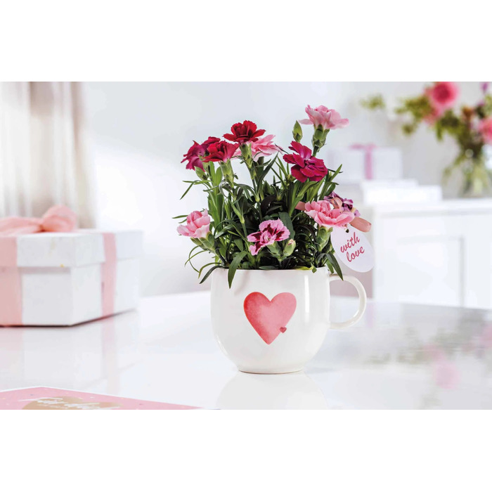 Набір посуду для сніданку, 3 предмети, With Love Villeroy & Boch