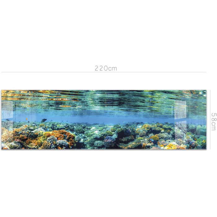 Кухонний фартух timalo зі скляним виглядом Північне море, очерет, захід сонця, океан, солома 2-мм акрилове скло Бризкозахисна стінка для плити, скляний кухонний фартух, акрилові скляні стінові панелі, захисна панель для фартуха (220 x 58 см, 311- Coral Re