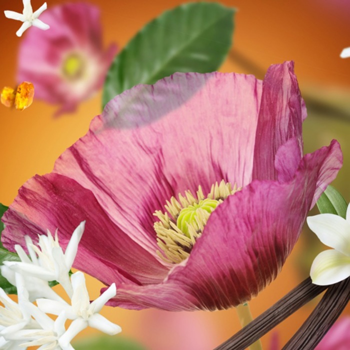 Дифузор для автівки Maison Berger Paris SMART з ароматом VELVET OF ORIENT