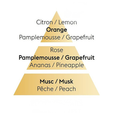 Дифузор Maison Berger Paris AROMA ENERGY, 180 мл + Наповнювач з ароматом AROMA ENERGY, 180 мл