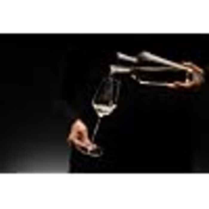 Дегустационный набор из 4 бокалов для вина, Superleggero RIEDEL