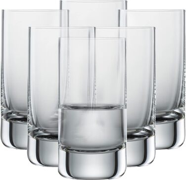 Пивний кухоль SCHOTT ZWIESEL Convention 0,2 л (набір з 6 шт.), прямий пивний келих для Pilsner, кришталеві келихи Tritan, які можна мити в посудомийній машині, Зроблено в Німеччині (арт.-No 175500) (Склянка для води - 0,255 л, комплект з конвенцією про ча