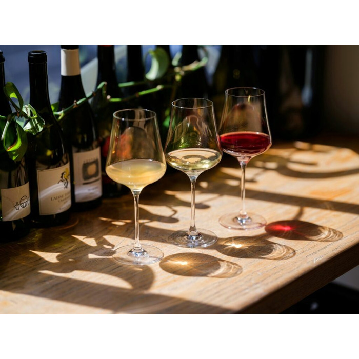 Набор из 2 бокалов для вина 510 мл One for All Gabriel-Glas