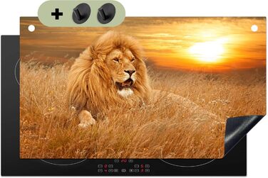 Фартух для плити, кухонний фартух, вініл, 78x52 см, декор для кухні, облицювання стіни, кришка для плити - сіро-чорна (Лев - Захід сонця, 52,7Д x 91,6Ш см)