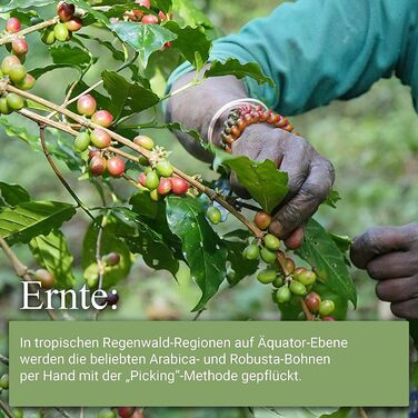 Кофемашина капсульная белая Sensual Martello и набор из 200 кофейных капсул Martello