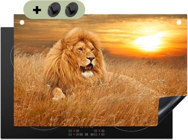 Фартух для плити, кухонний фартух, вініл, 78x52 см, декор для кухні, облицювання стіни, кришка для плити - сіро-чорна (Lev - Sunset, 52Д x 80Ш см)