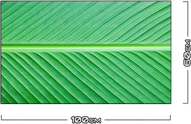 Дизайнерський кухонний бризкозахисний екран з алюмінієвого композиту, кухонний фартух, товщина 3 мм, 60x100 см, (колір пальмового листя)