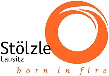 Пивной тюльпан Stlzle Lausitz серии Berlin 390 мл I Набор из 6 шт. I Изящные пивные бокалы 0,3 л I можно мыть в посудомоечной машине I благородное бессвинцовое хрустальное стекло I очень прочный I высокого качества (6 шт. 500 мл)