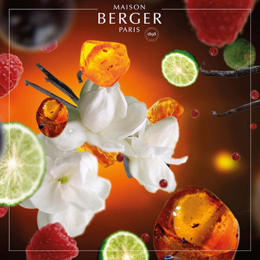 Аромат для дифузора Maison Berger Paris ORIENTAL STAR, 200 мл