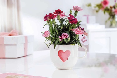 Набір посуду для сніданку, 3 предмети, With Love Villeroy & Boch